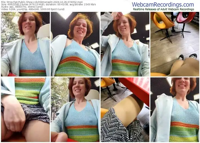 2024/10/26/stripchat-exhibitionsplit-07-49-52