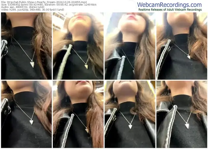 2024/10/26/stripchat-peachy_dream-22-46-55