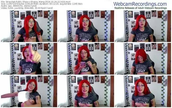 2024/10/26/stripchat-shopia_wang-21-14-26