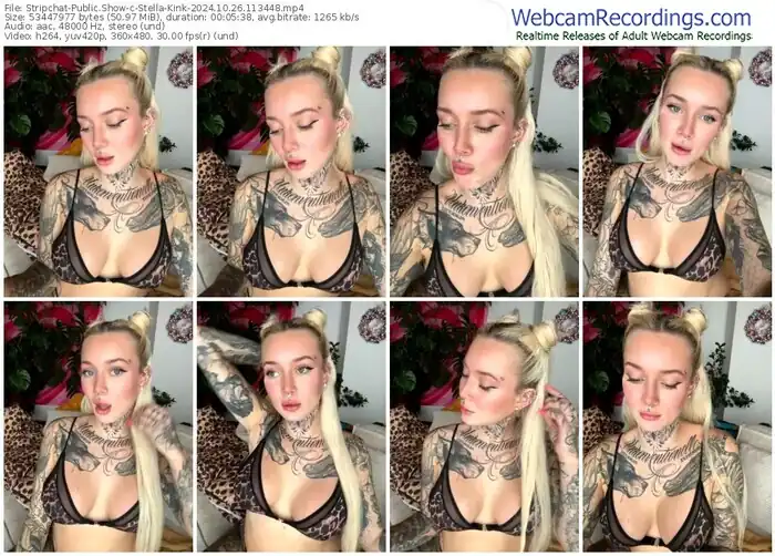 2024/10/26/stripchat-stella-kink-11-34-48