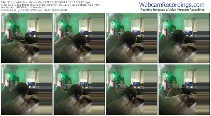 2024/10/26/stripchat-texasmess_37-16-24-42