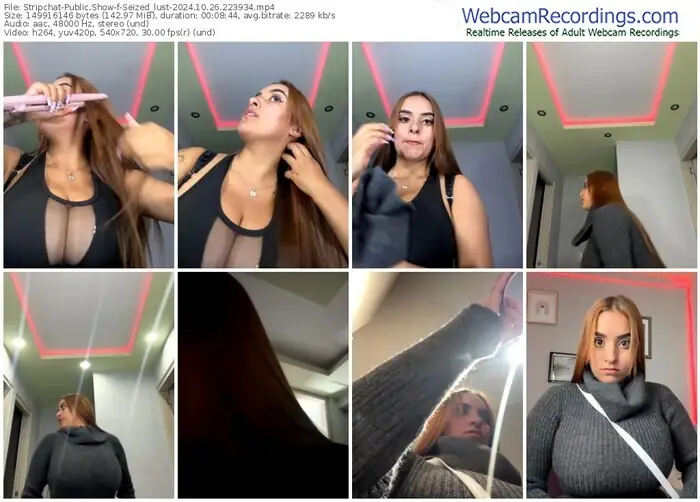 2024/10/26/stripchat-seized_lust-22-39-34