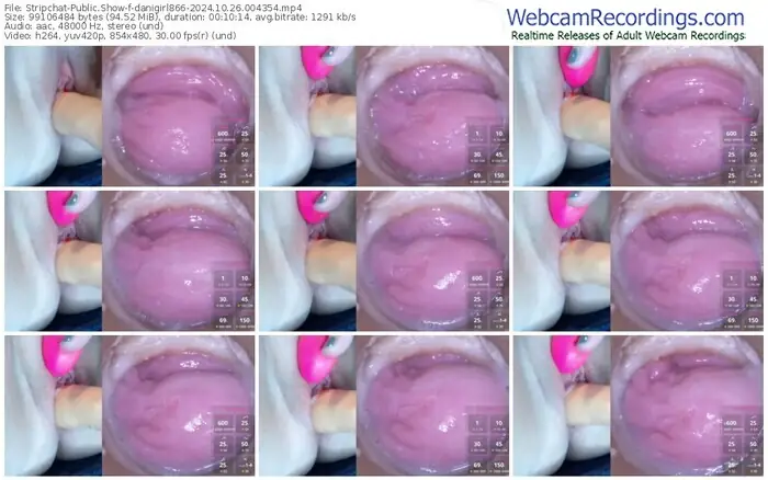 2024/10/26/stripchat-danigirl866-00-43-54