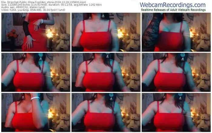2024/10/26/stripchat-golden_shine-19-58-00