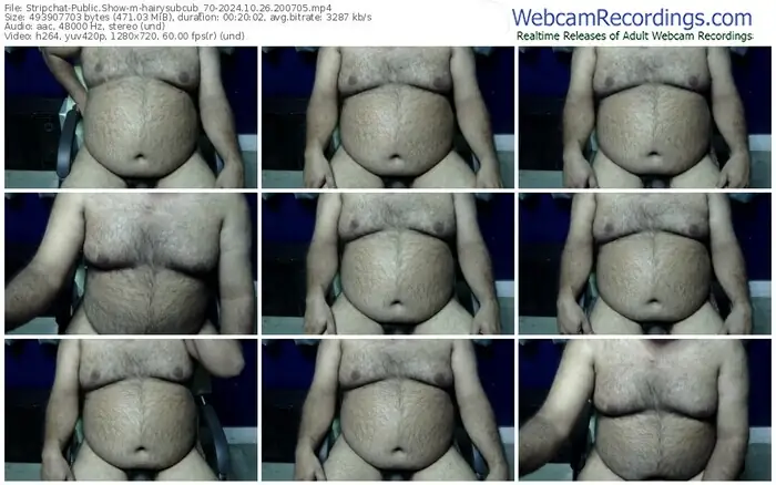 2024/10/26/stripchat-hairysubcub_70-20-07-05