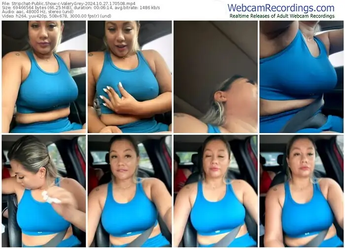 2024/10/27/stripchat-valerygrey-17-05-08