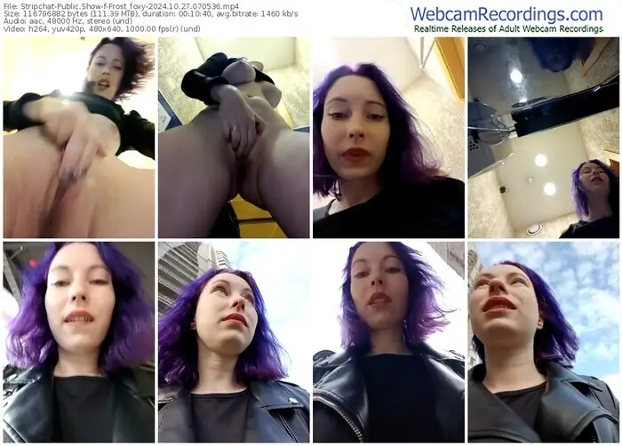 2024/10/27/stripchat-frost_foxy-07-05-36