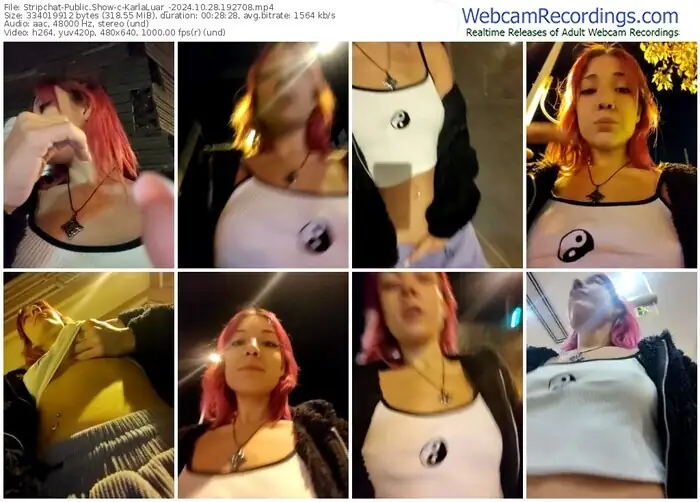 2024/10/28/stripchat-karlaluar_-19-27-08