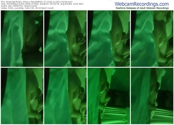 2024/10/28/stripchat-texasmess_37-11-42-46