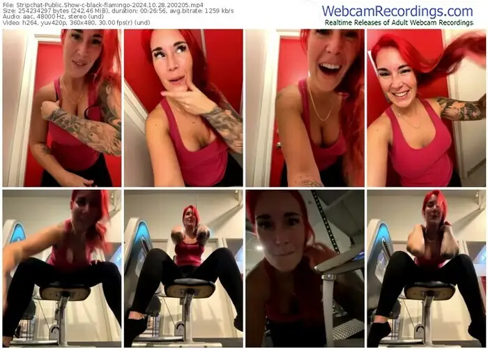 2024/10/28/stripchat-black-flamingo-20-02-05