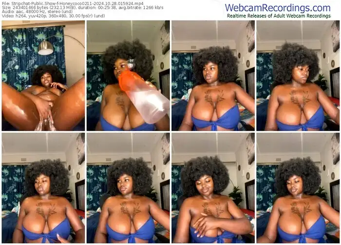 2024/10/28/stripchat-honeycoco0211-01-59-24