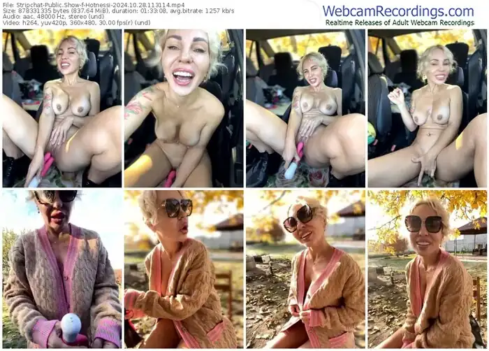 2024/10/28/stripchat-hotnessi-11-31-14