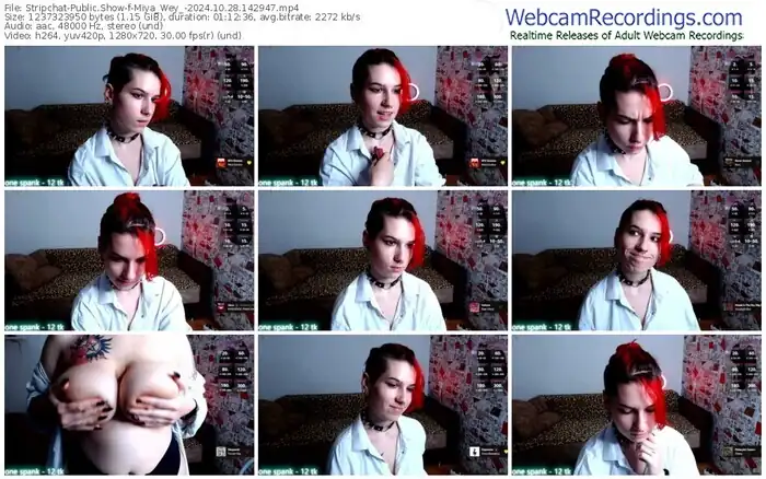 2024/10/28/stripchat-miya_wey_-14-29-47