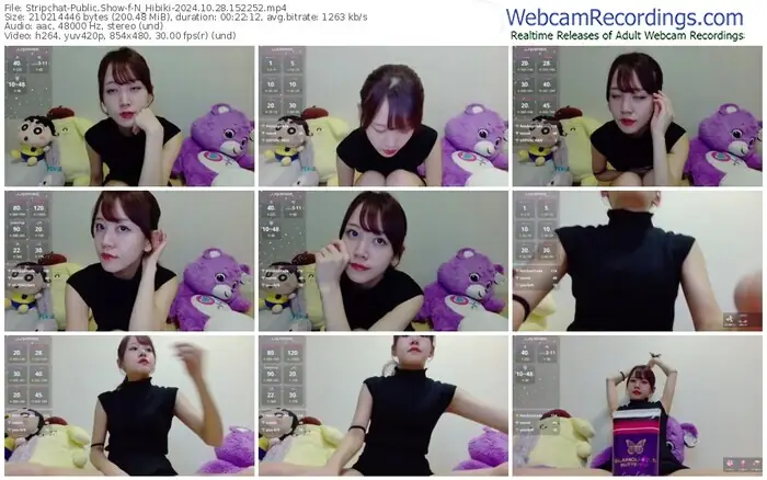 2024/10/28/stripchat-n_hibiki-15-22-52