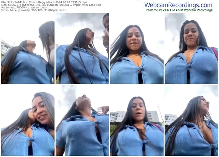 2024/10/28/stripchat-reggie-liam-22-31-15