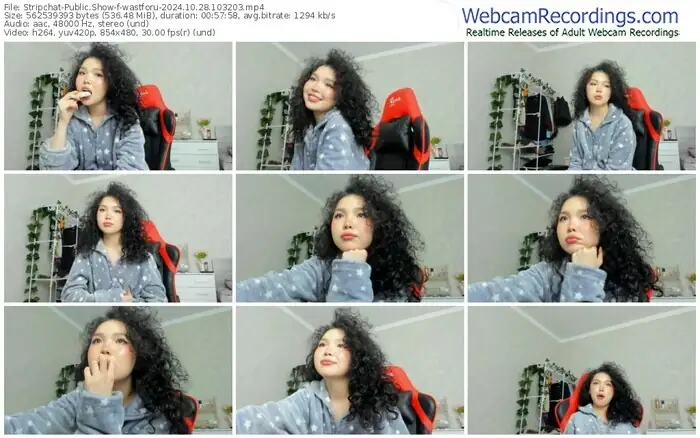 2024/10/28/stripchat-wastforu-10-32-03