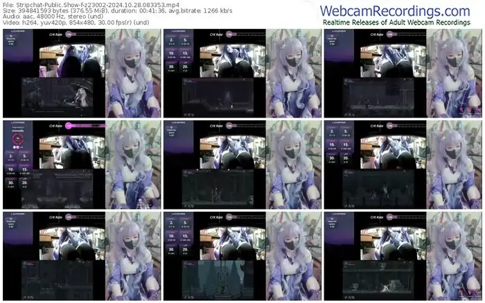 2024/10/28/stripchat-z23002-08-33-53