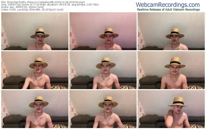 2024/10/28/stripchat-cookieboy88-20-53-34