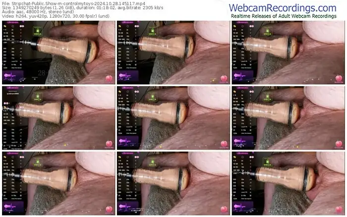 2024/10/28/stripchat-controlmytoys-14-51-17