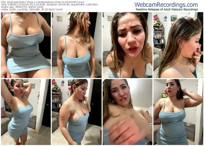 2024/10/29/stripchat-celestedubois-00-43-07