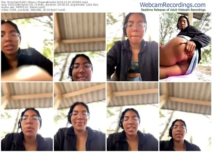 2024/10/29/stripchat-sheenabrooke-20-30-56