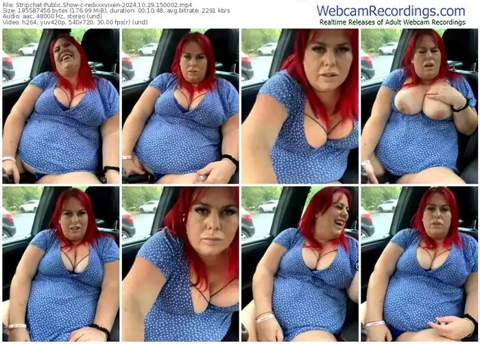2024/10/29/stripchat-redxxxvixen-15-00-02