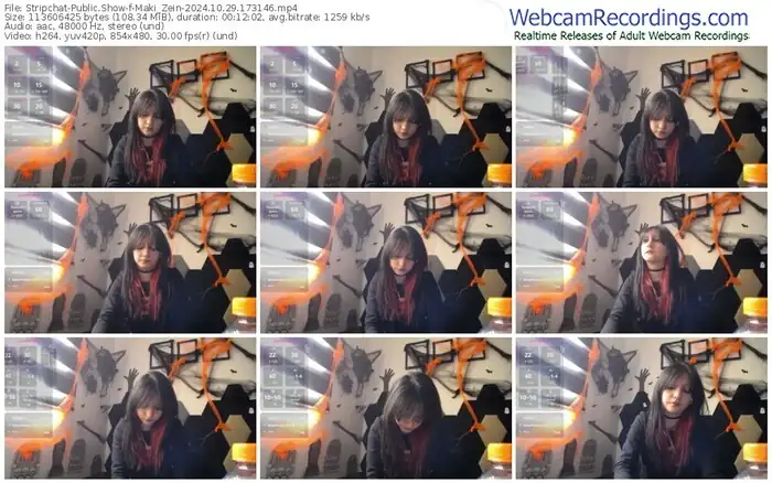 2024/10/29/stripchat-maki_zein-17-31-46