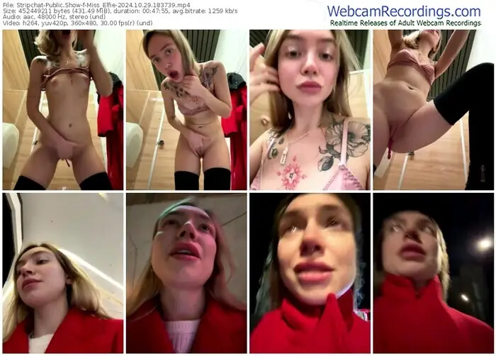 2024/10/29/stripchat-miss_elfie-18-37-39