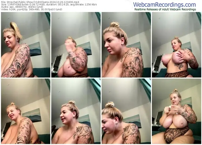 2024/10/29/stripchat-odriolsens-12-34-36