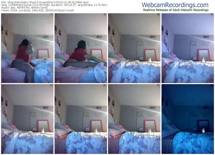 2024/10/29/stripchat-queendim3-01-39-46