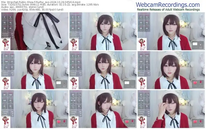 2024/10/29/stripchat-ruirui_ovo-04-54-16