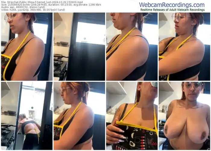 2024/10/29/stripchat-seized_lust-15-39-03