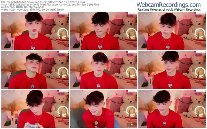 2024/10/29/stripchat-prince_stev-02-26-17