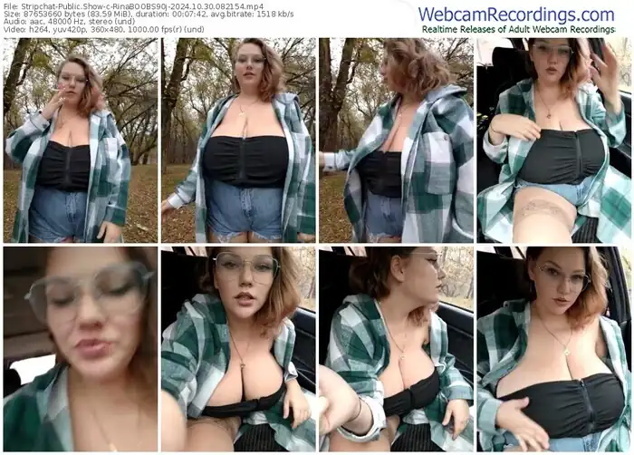 2024/10/30/stripchat-rinaboobs90j-08-21-54