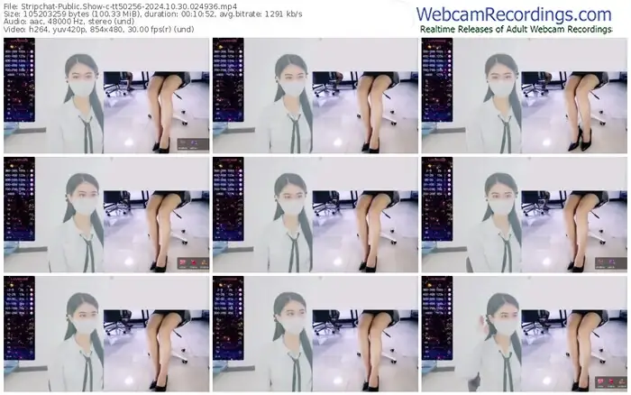 2024/10/30/stripchat-tt50256-02-49-36