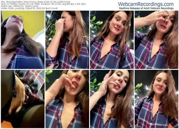 2024/10/30/stripchat-dina_tease-12-28-33