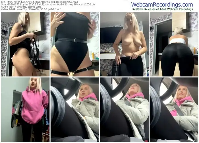 2024/10/30/stripchat-merlindave-01-27-52