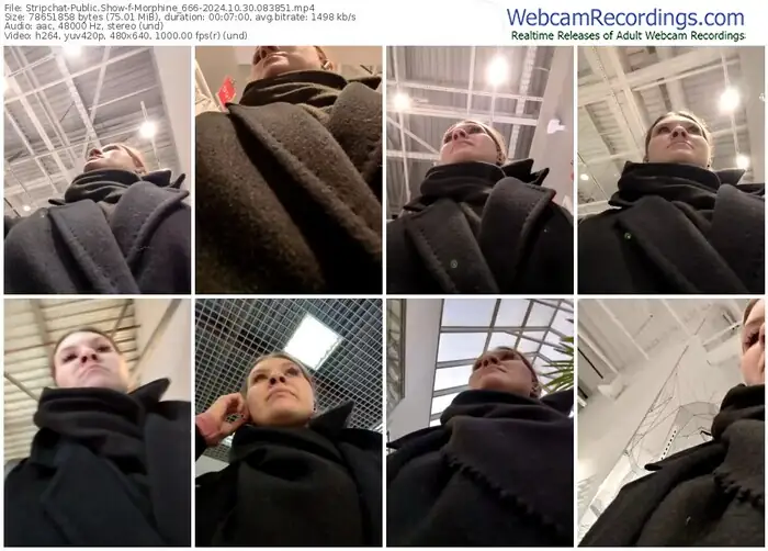 2024/10/30/stripchat-morphine_666-08-38-51