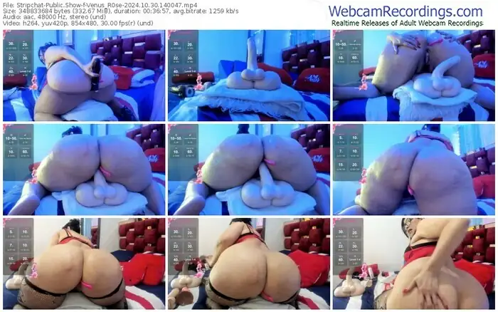 2024/10/30/stripchat-venus_r0se-14-00-47