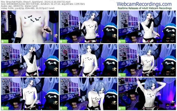 2024/10/30/stripchat-_sparkland_-03-07-32