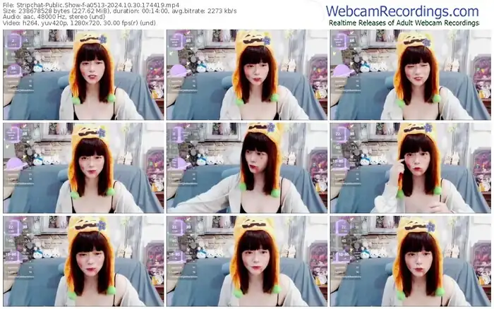 2024/10/30/stripchat-a0513-17-44-19