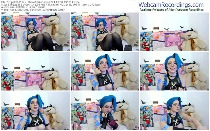 2024/10/30/stripchat-aikonany-13-52-14