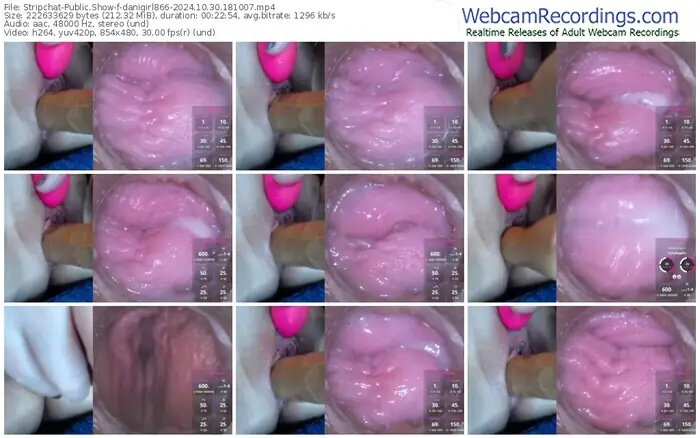 2024/10/30/stripchat-danigirl866-18-10-07