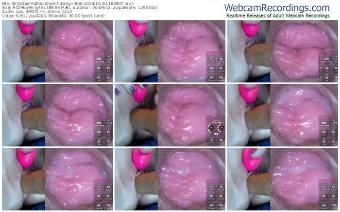 2024/10/30/stripchat-danigirl866-18-38-00