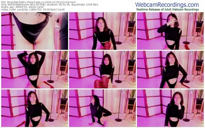 2024/10/30/stripchat-gea_xo-21-11-02