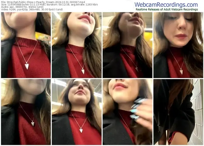 2024/10/31/stripchat-peachy_dream-00-09-47