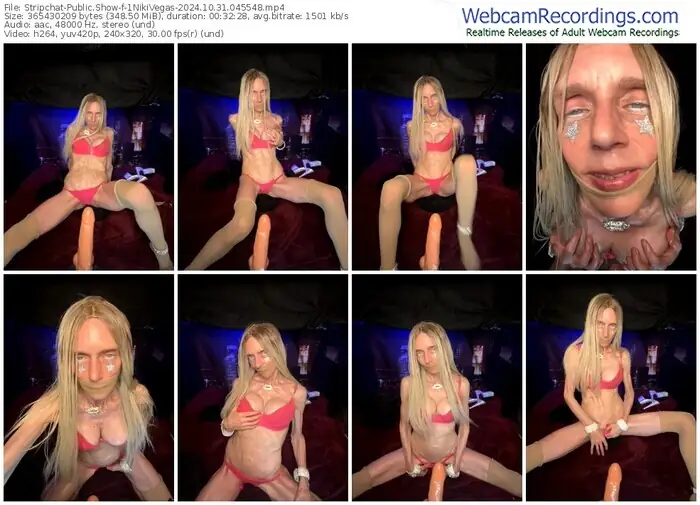 2024/10/31/stripchat-1nikivegas-04-55-48