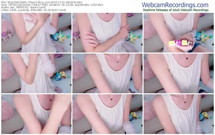2024/10/31/stripchat-alice_ovo-04-21-09