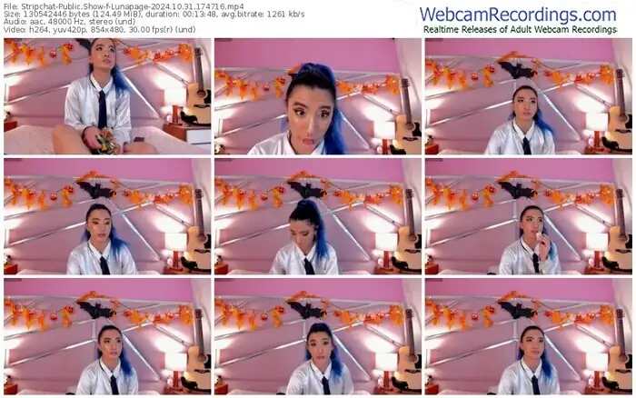 2024/10/31/stripchat-lunapage-17-47-16
