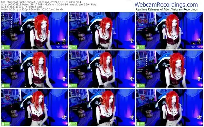 2024/10/31/stripchat-_sparkland_-01-20-36